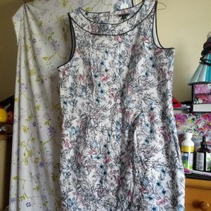 Ann Taylor Dress